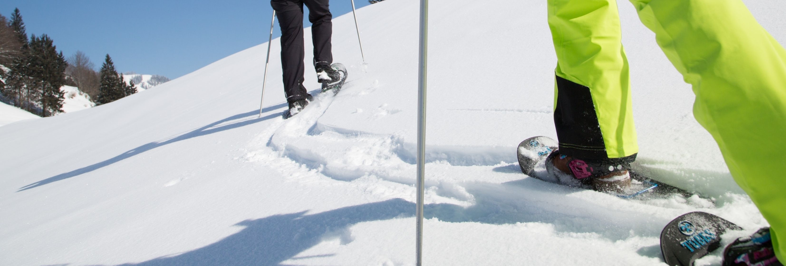 Schneeschuh- & Winterwandern in Walchsee