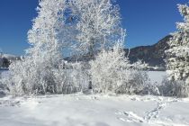 Winterlandschaft Ilgerhof 03